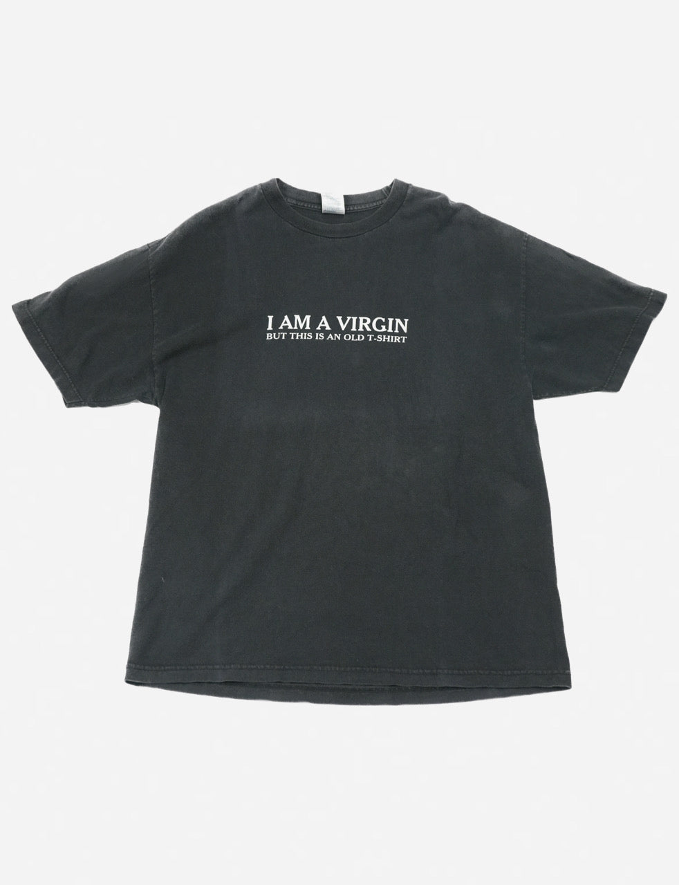 I AM A VIRGIN T-SHIRT